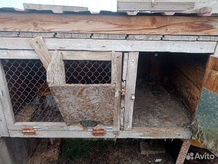 Клетка для домашнего кролика