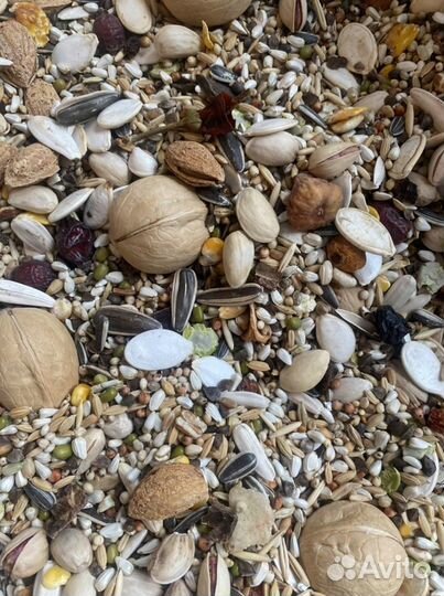 Корма для крупных/средних попугаев