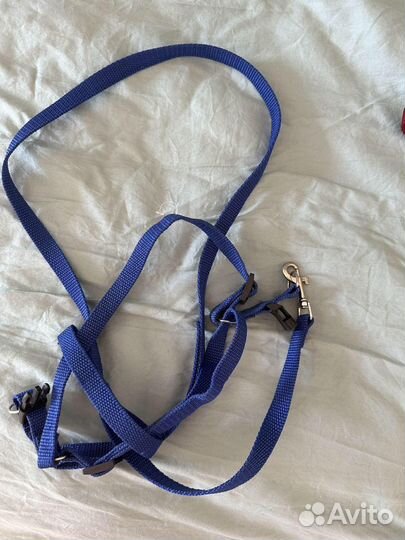 Поводки и ошейники для животных мини