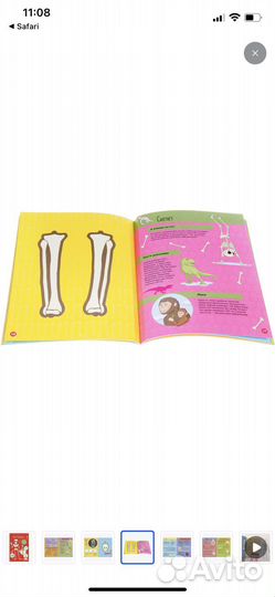 Книга Тело человека