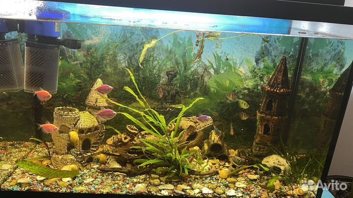 Продам аквариум с рыбками