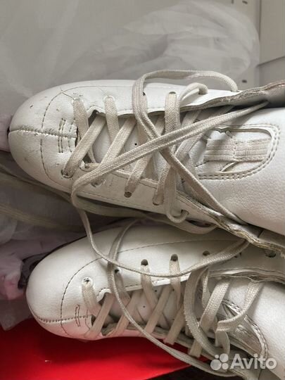 Коньки профессиональные Risport размер 210