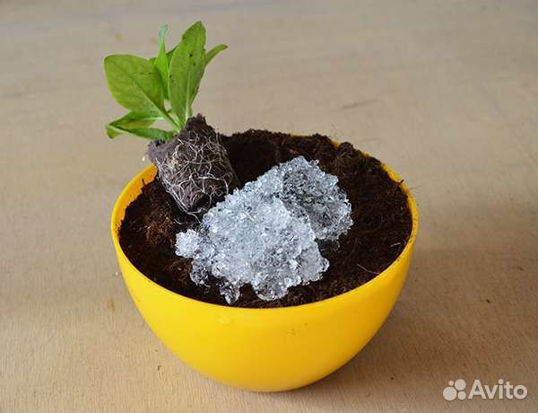 Чудо гидрогель