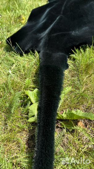 Шкуры выдры выделанной крашенной стриженной