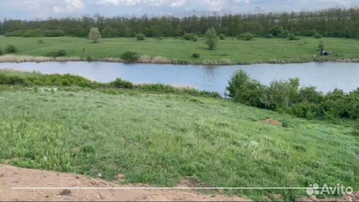 Женская верхняя одежда 52 54