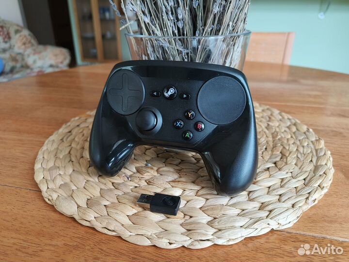 Valve Steam Controller