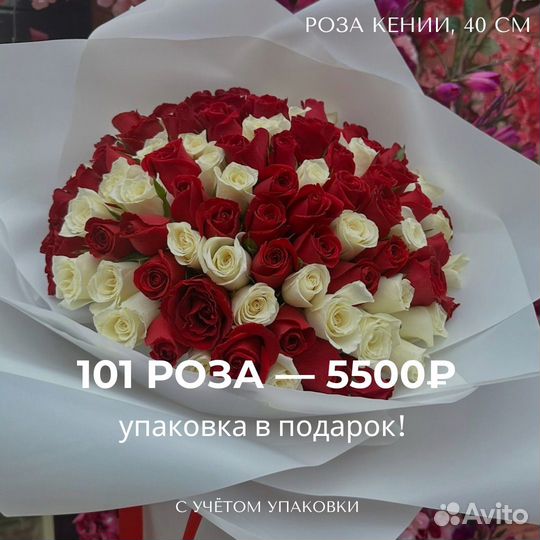 Букет 101 Роза