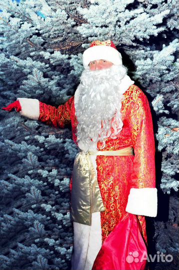 Дед Мороз и Снегурочка. Белый Мишка. Выезд на дом