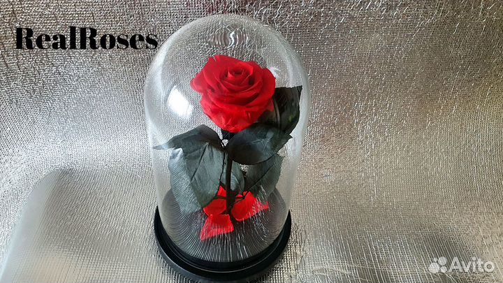 Роза в колбе