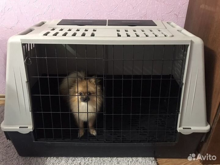 Клетка для собак и кошек,не продажа