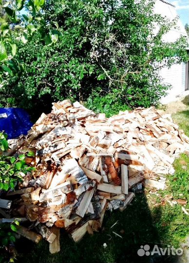 Дрова Береза навалом сухие в Выборге любого объема