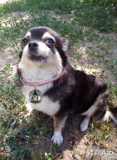 Брелочек для нахождения наших потеряшек