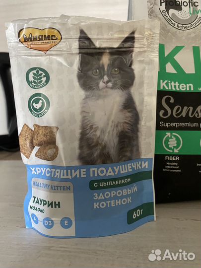 Корм для котят