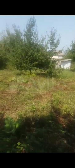 Участок 6 сот. (СНТ, ДНП)