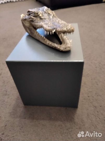 Новый мини сейф