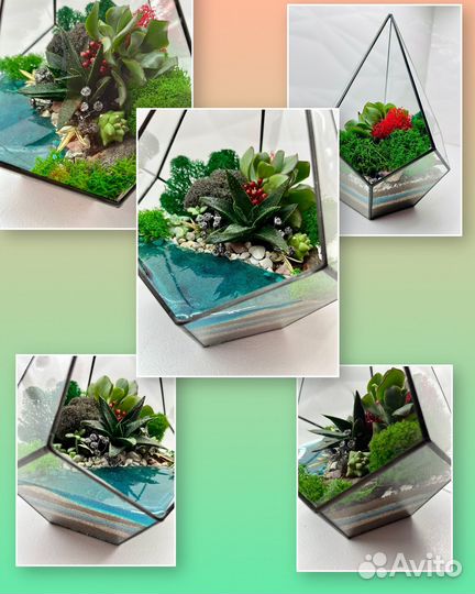 Флорариум с экзотичнакими цветами