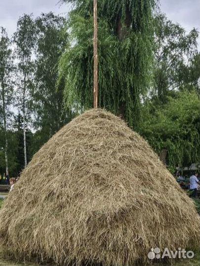 Продам сено для коров, коз, овец