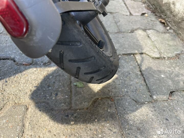 Прокат самокатов Xiaomi M365 PRO