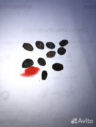 Копейка Петра 1 (чешуя)