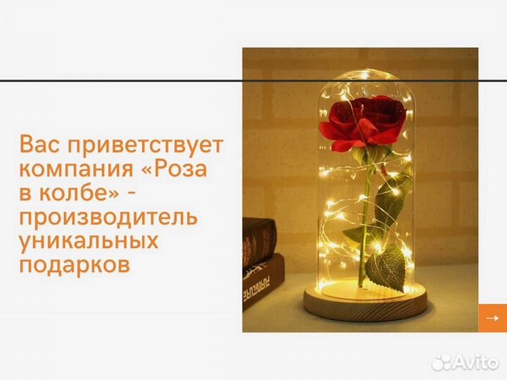 Роза в колбе. Живая