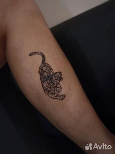 Требуется модель на тату