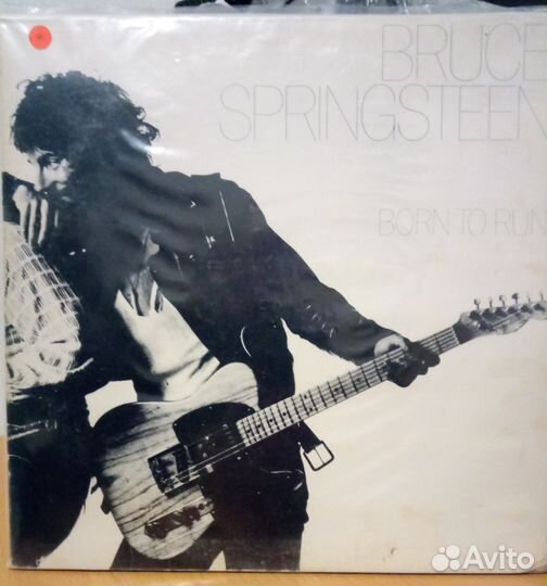 Sting, Bruce Springsteen, Meat Loaf