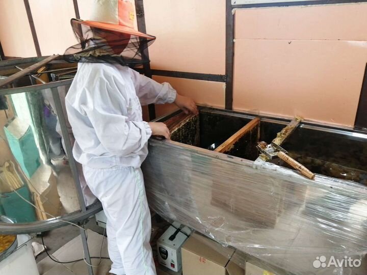 Мёд от производителя оптом