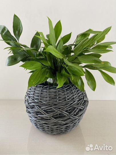 Кашпо из экоротанга