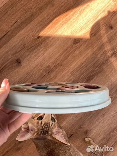 Интерактивная миска для кошек и собак