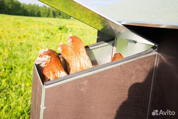 Домик с выгулом для кур