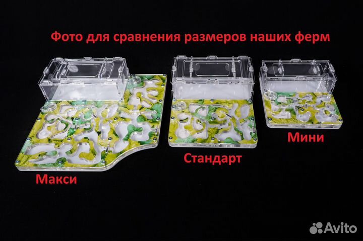 Муравьиная Ферма Мини + Формикарий с гипсом