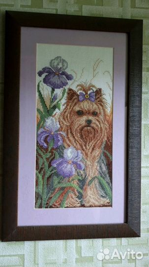 Картина крестиком Йорк милашка в ирисах