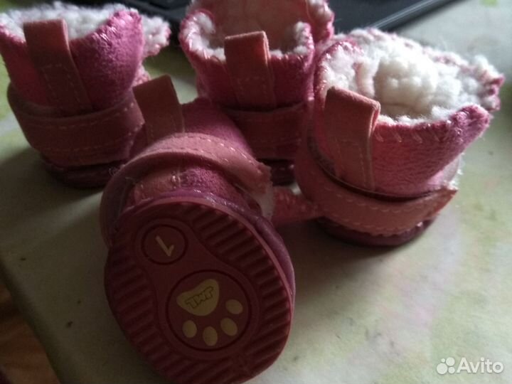 Сапожки для собачки