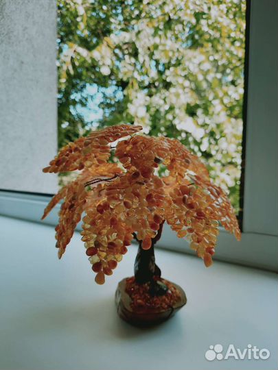 Янтарное дерево