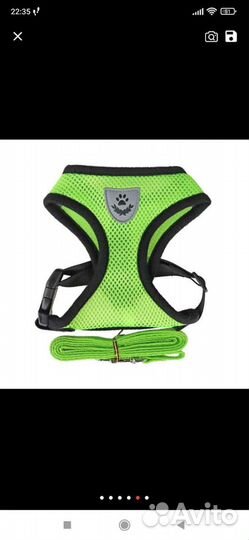 Для щенков,котят/игрушки,одежда,витамины,трусики