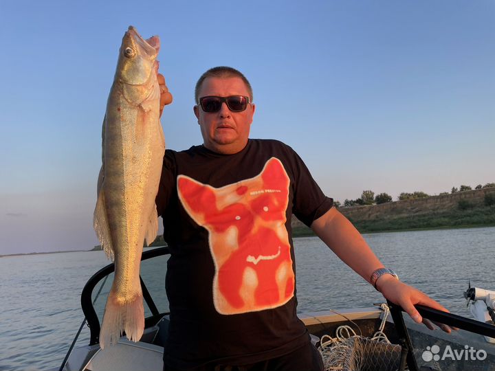 Заместитель директора по ахч