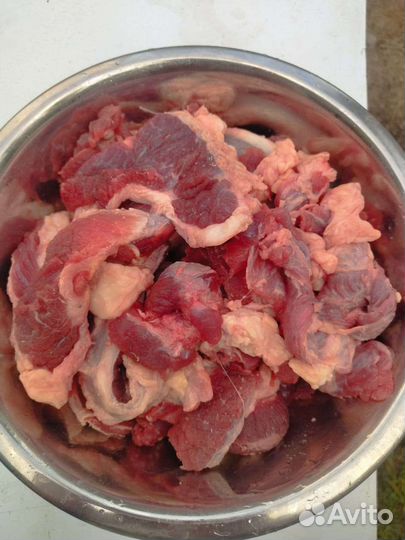 Мясо говядина для собак