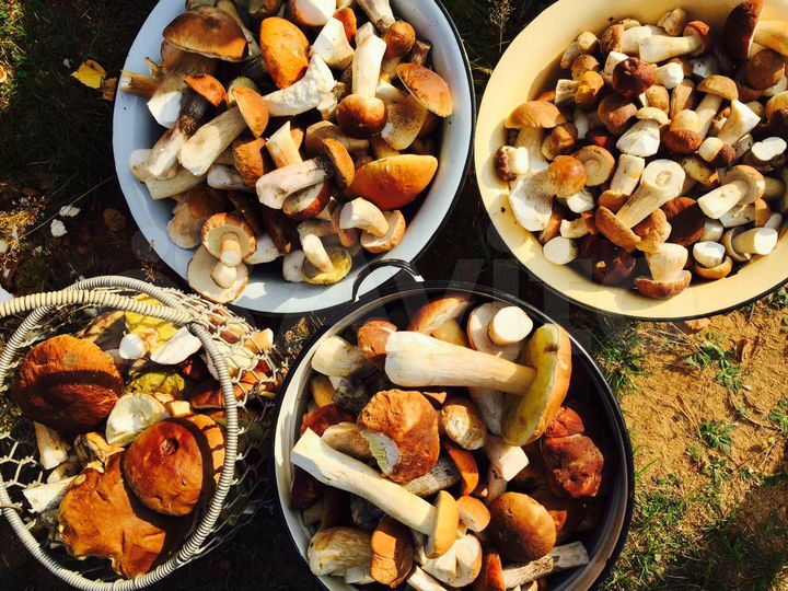 Участок 3,2 га (ИЖС)