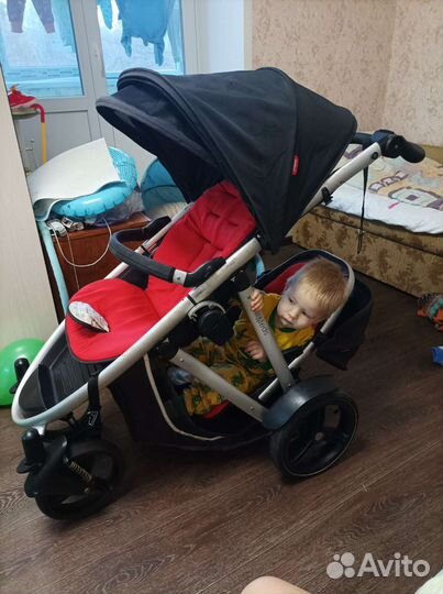 Коляска phil and teds для погодок или для двойни