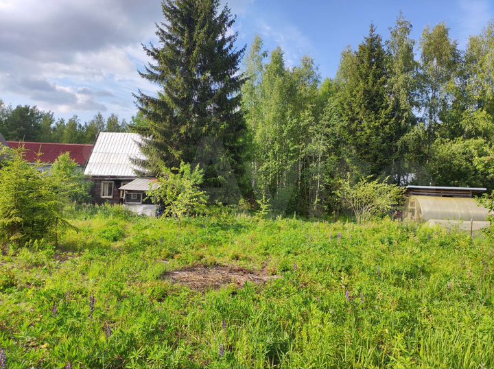 Участок 6,2 сот. (СНТ, ДНП)