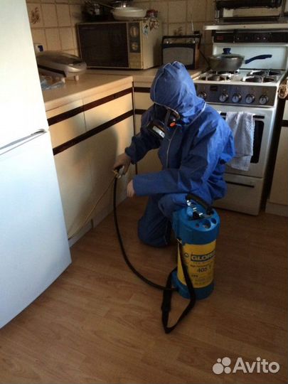 Уничтожение тараканов, клопов всех видов насекомых