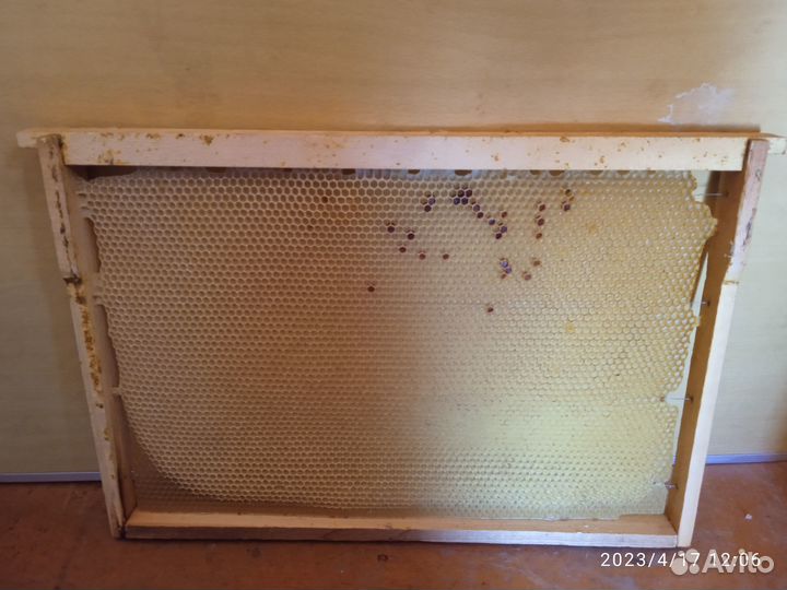 Сушь для пчел