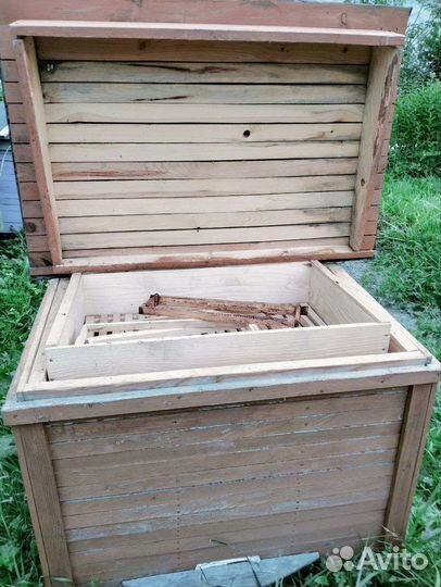 Пчелиный улей