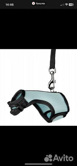 Шлейка для крыс