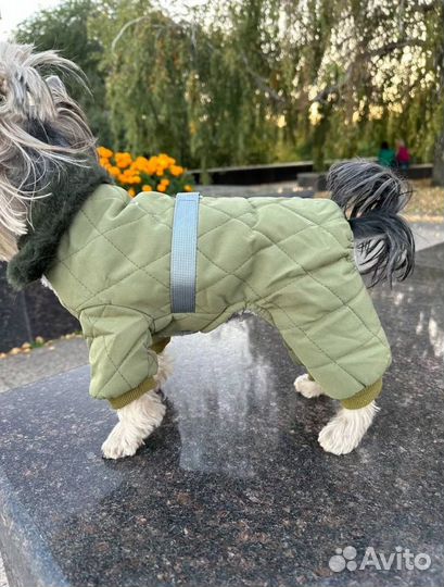 Одежда для маленьких собак