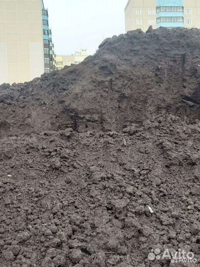 Плодородная земля в Никифоровское