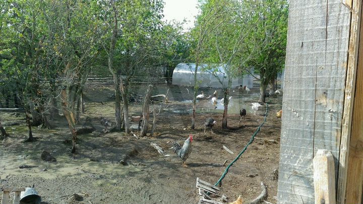 Участок 17 сот. (ИЖС)