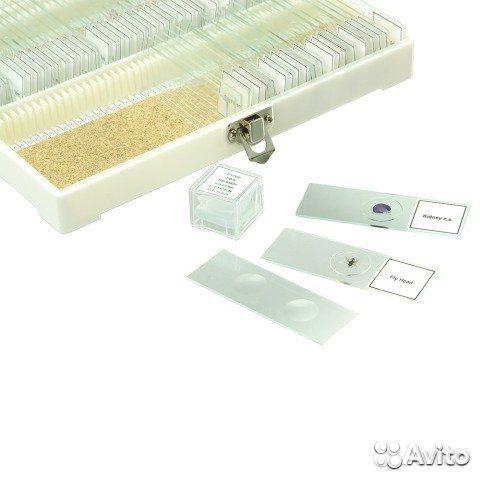 Микроскоп, набор препаратов N80