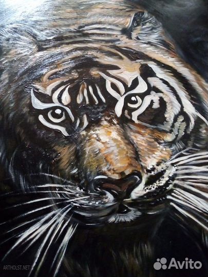 Картина. Тигр. Львы. Кошки