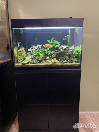 Аквариум 100 литров с тумбой